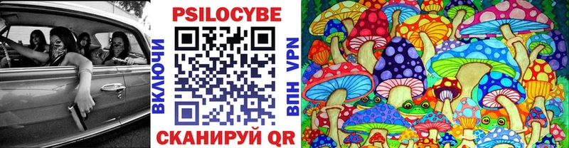 купить наркотики сайты  Кувандык  Псилоцибиновые грибы Psilocybine cubensis 