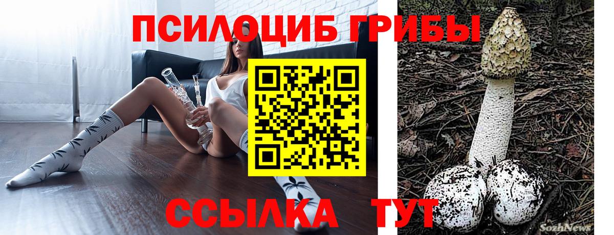 Псилоцибиновые грибы ЛСД  Псилоцибиновые грибы Psilocybe  Вход с VPN  Кувандык 