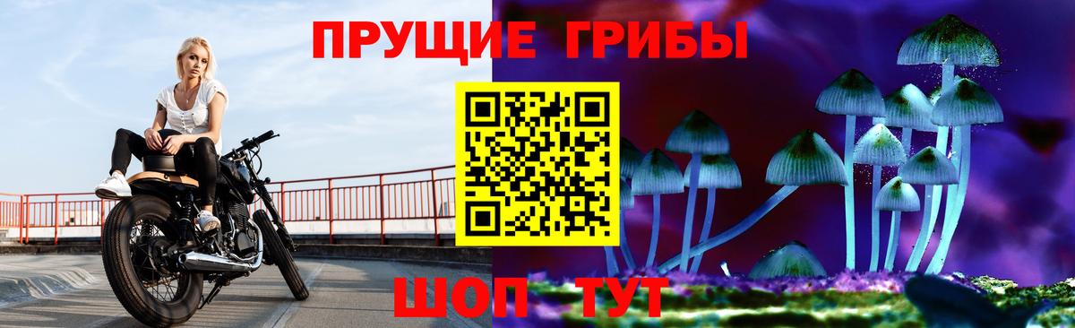 Псилоцибиновые грибы Magic Shrooms Кувандык